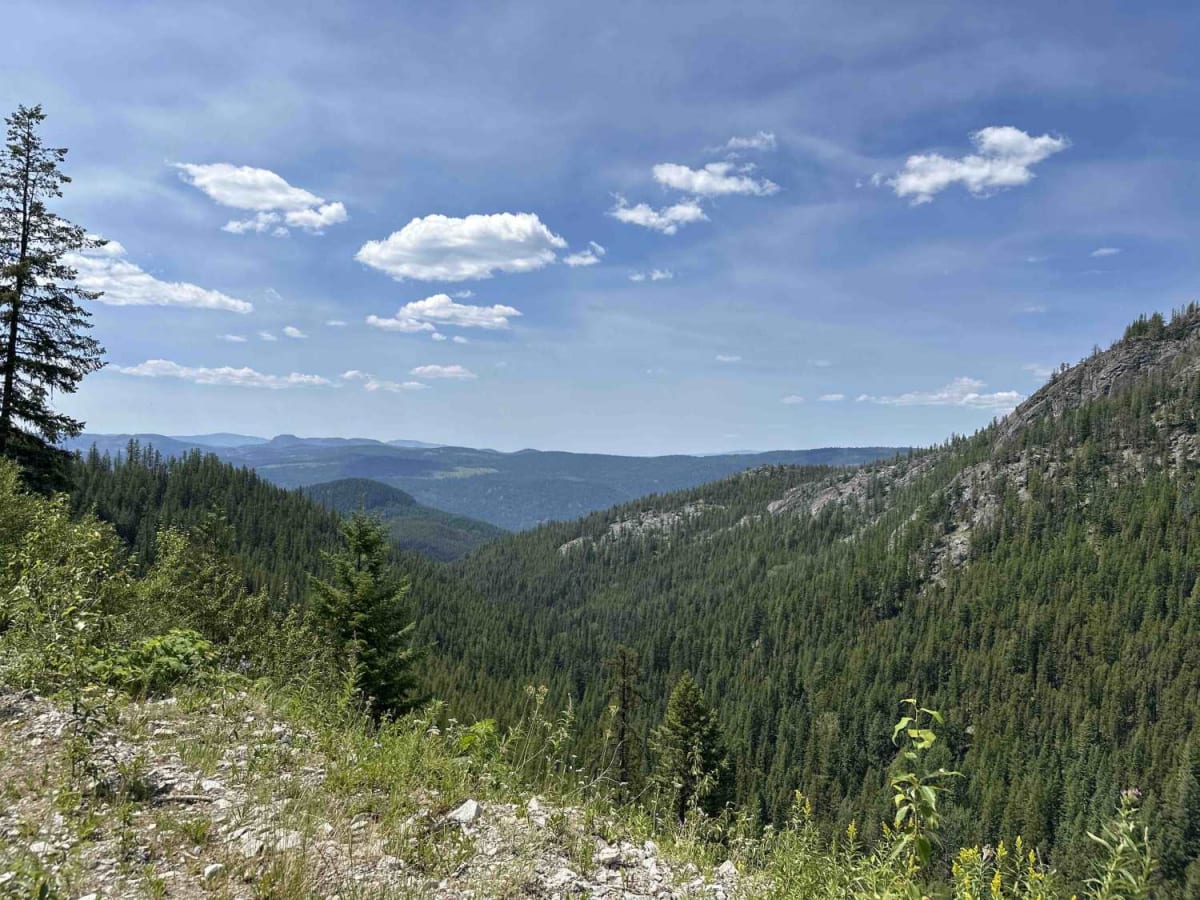 Thome Lake East trail photo