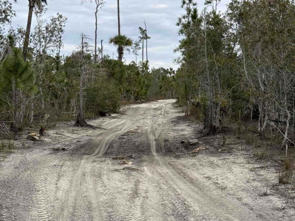 Shortcut Trail photo 5