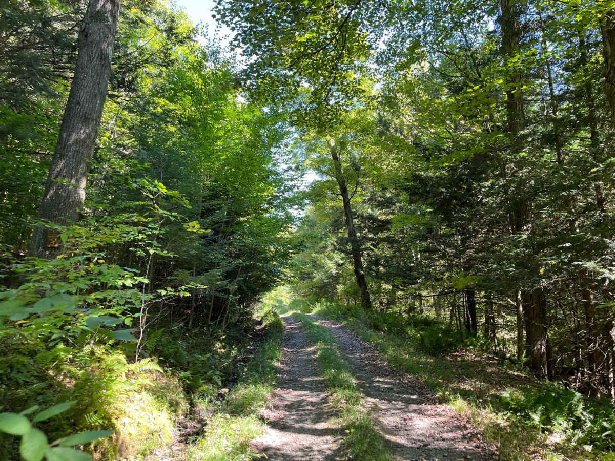 Wildcat Hollow Limited Access photo 3