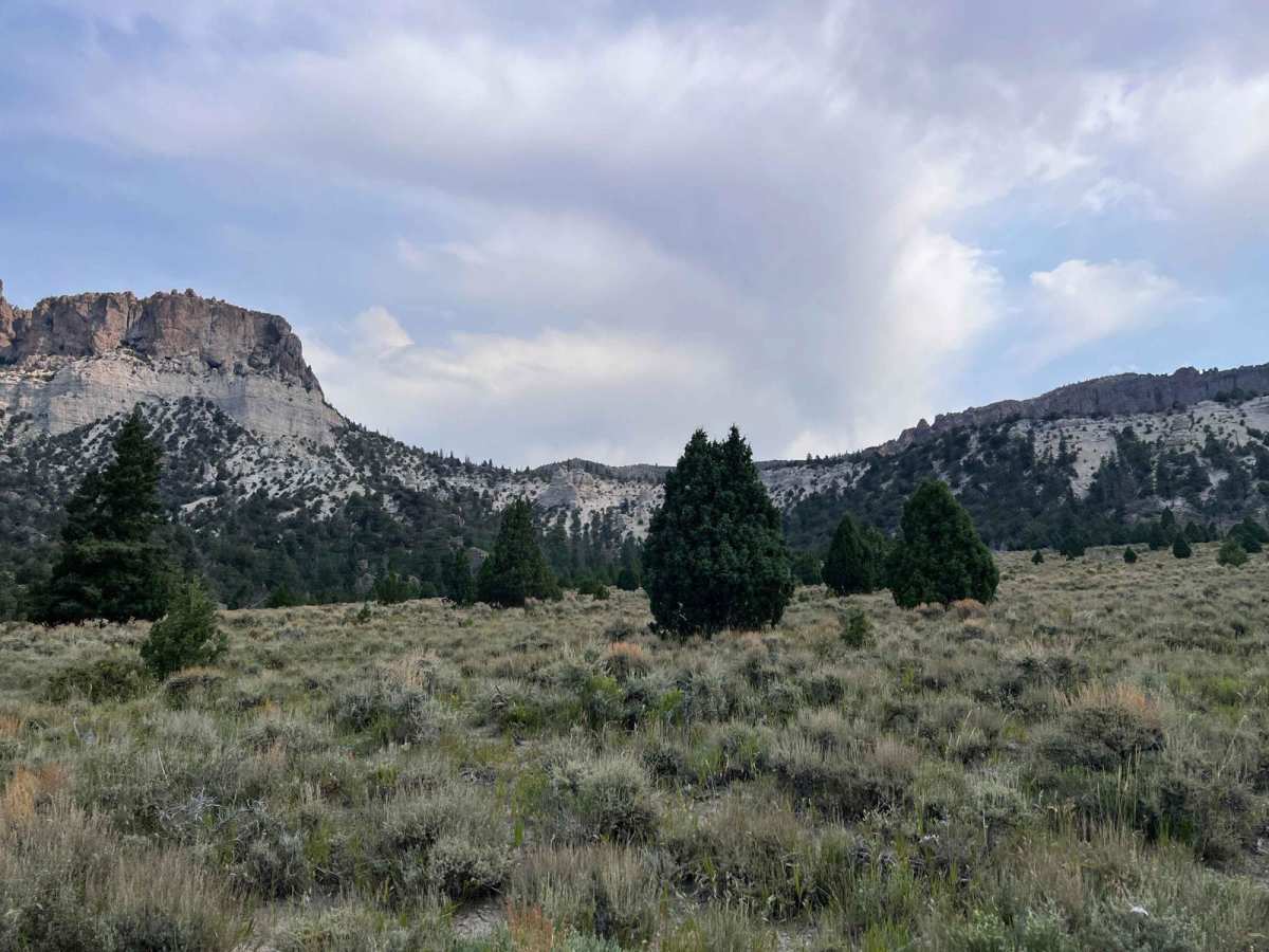 Casto Bowl - BLM 30116 trail photo