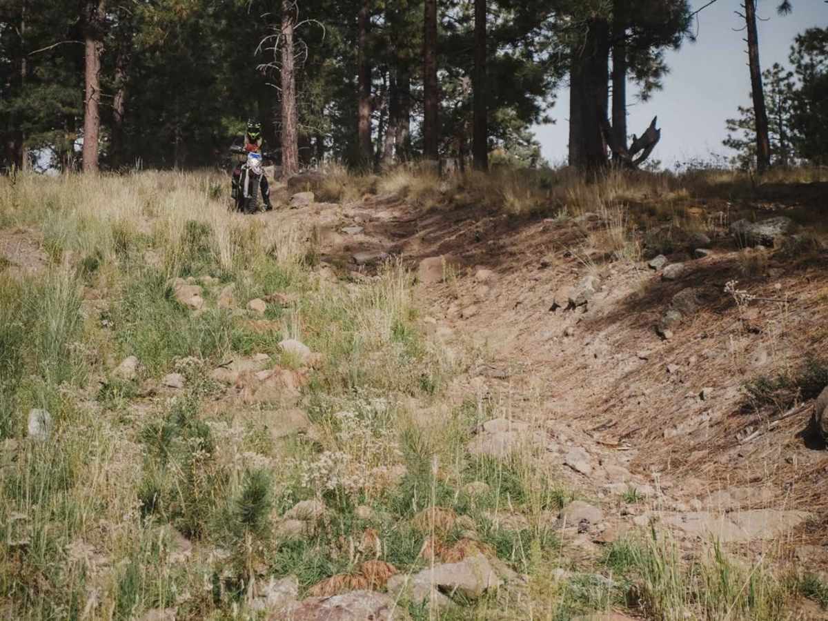 Pipeline photo 6