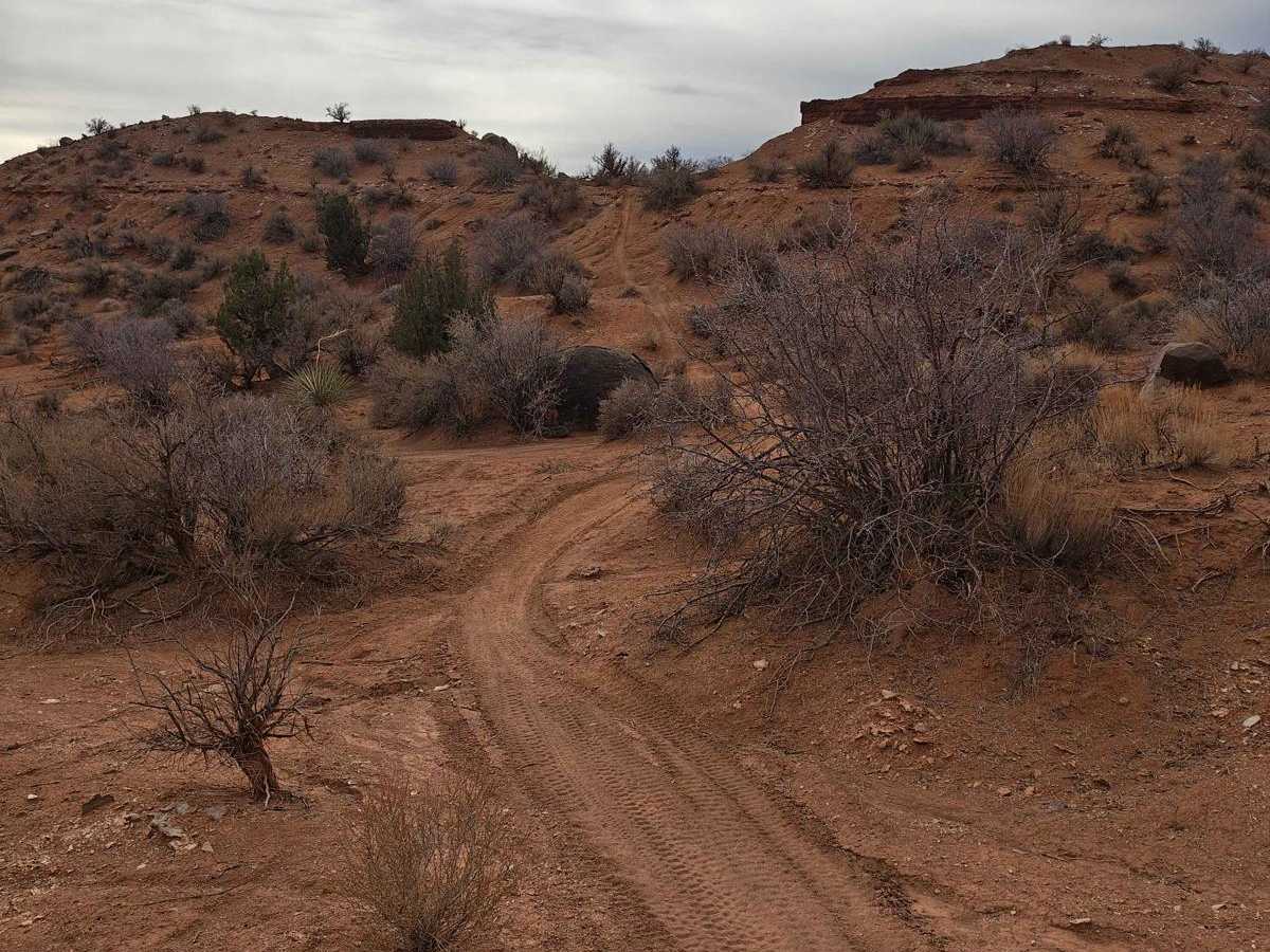 Lower Toquerville Alternate - Single Track photo 2