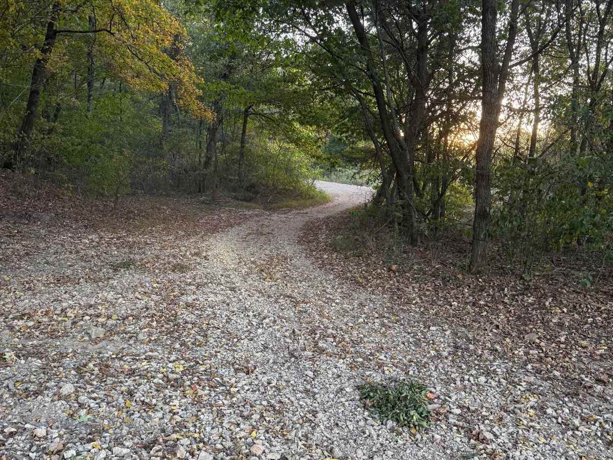 Assault Opossum Hill 16 trail photo