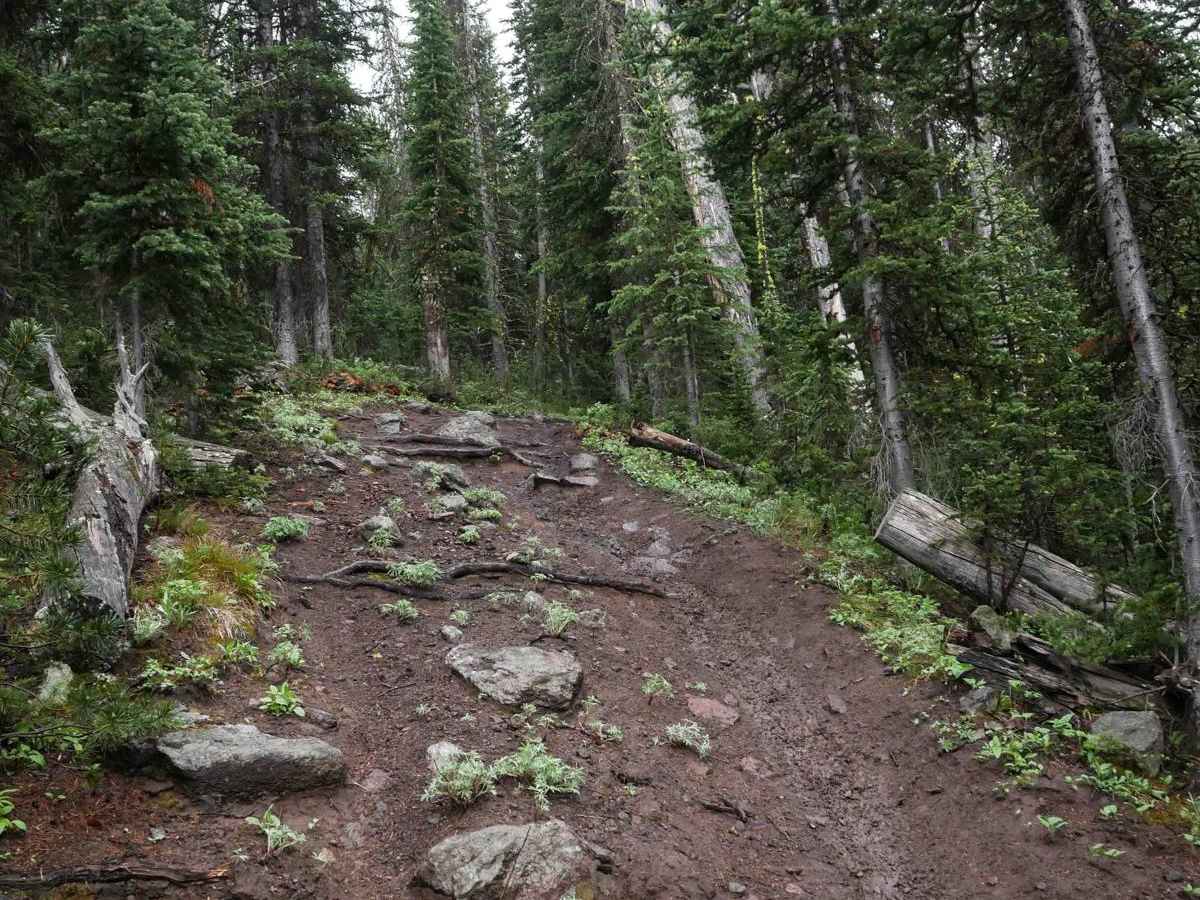 Cabin Creek photo 2