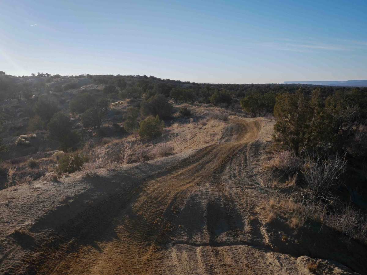 Apple West Singletrack photo 2