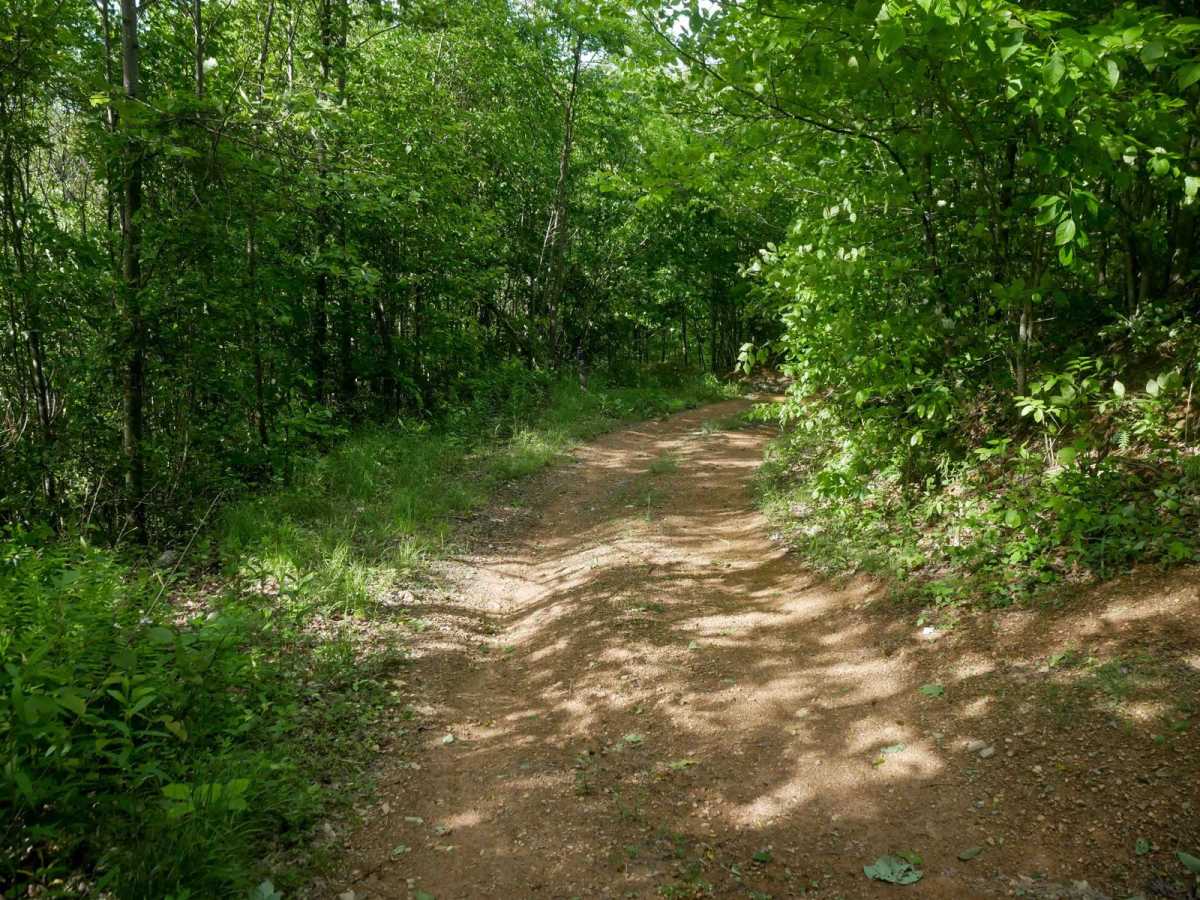 RV28 photo 2