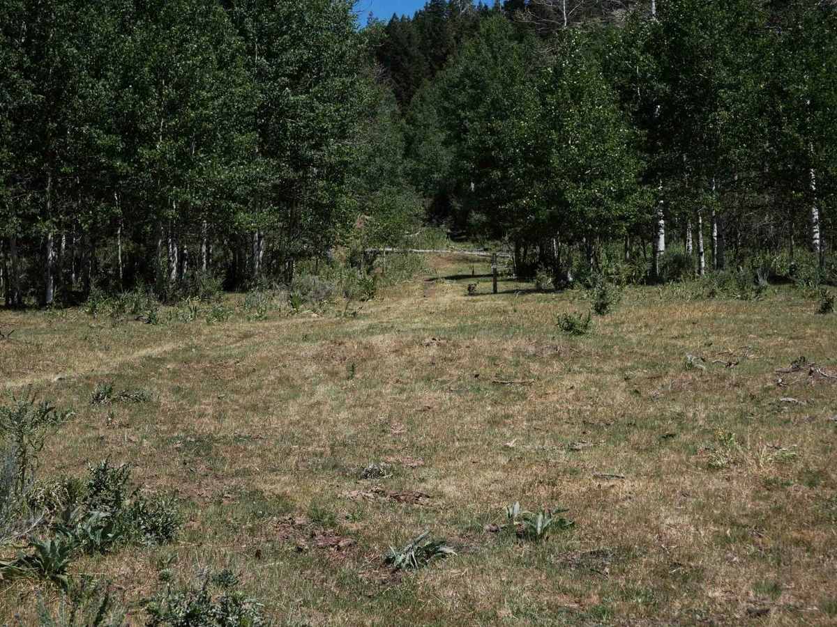 Petterson Canyon #5232 photo 5