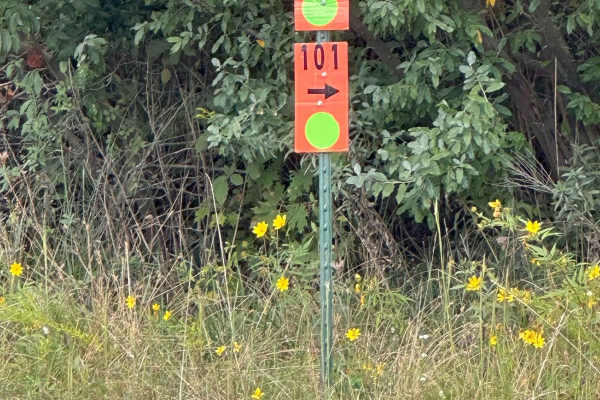 114