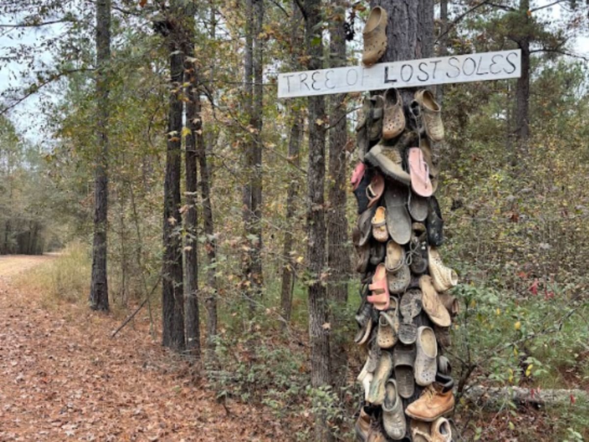 10 trail photo
