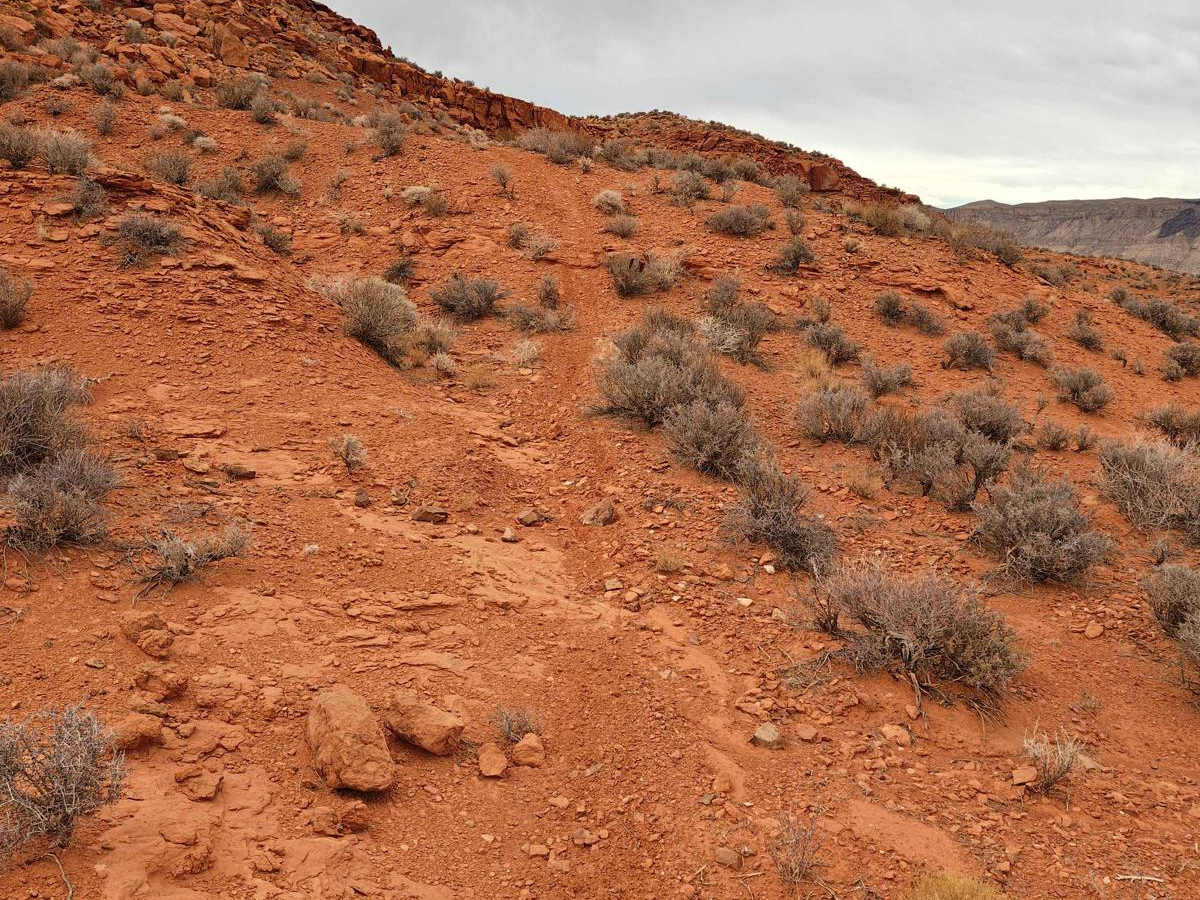 East Rim Squirrel Run - Single Track photo 4