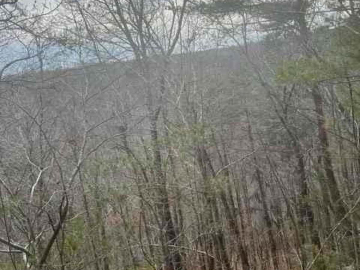 Coalmont Trail 15 photo 6