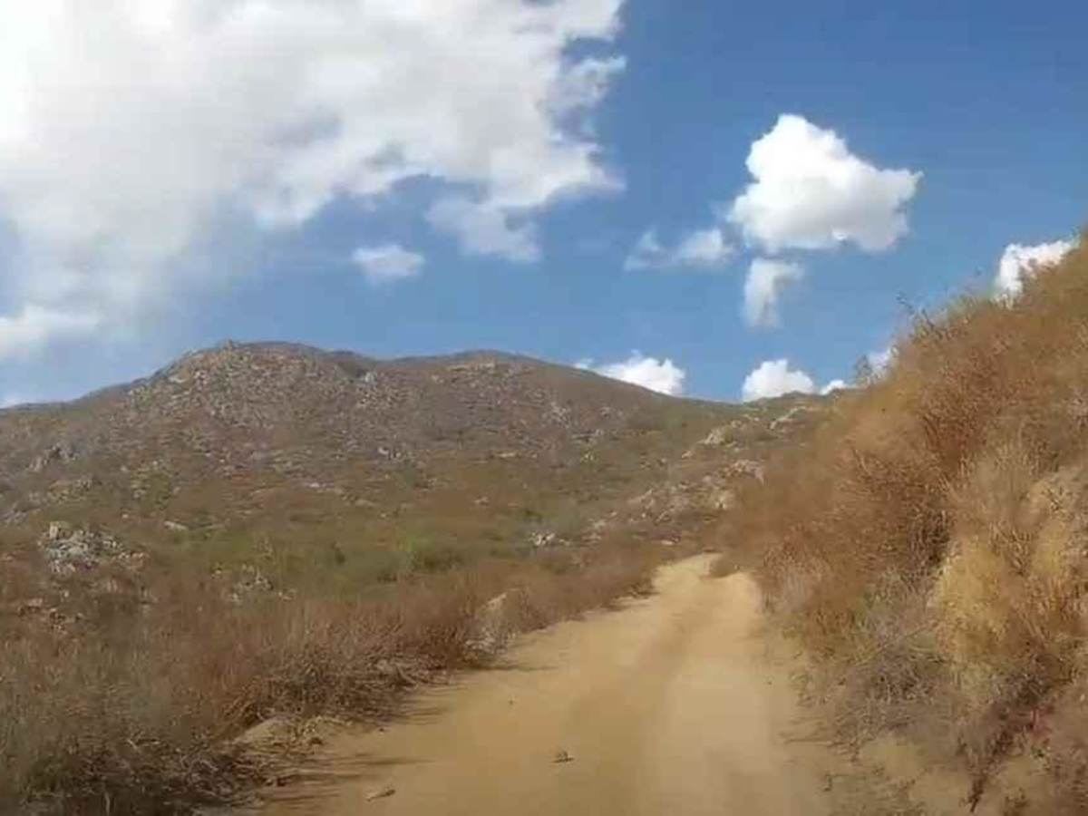 11S03 Lusardi Truck Trail photo 4