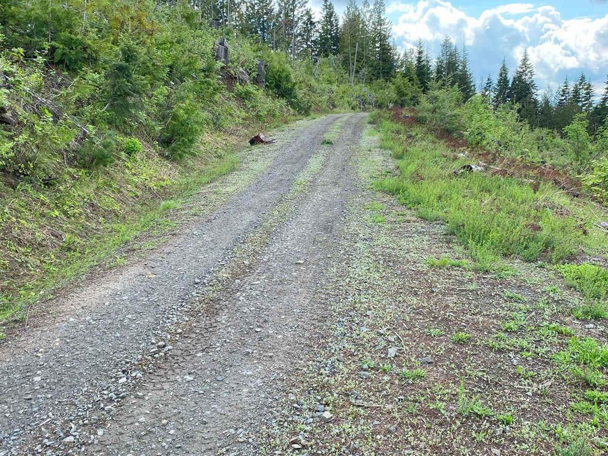 The Bird Road photo 2