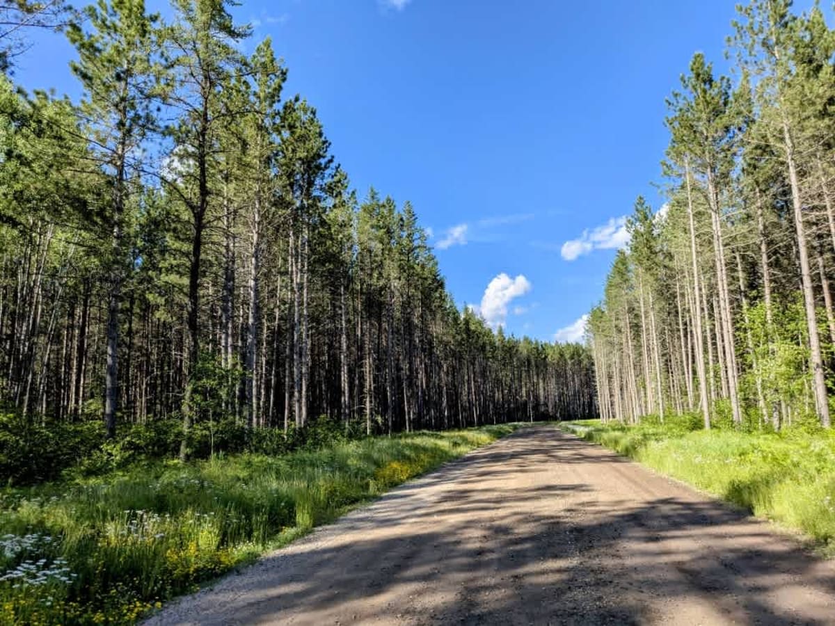 Williams Road trail photo