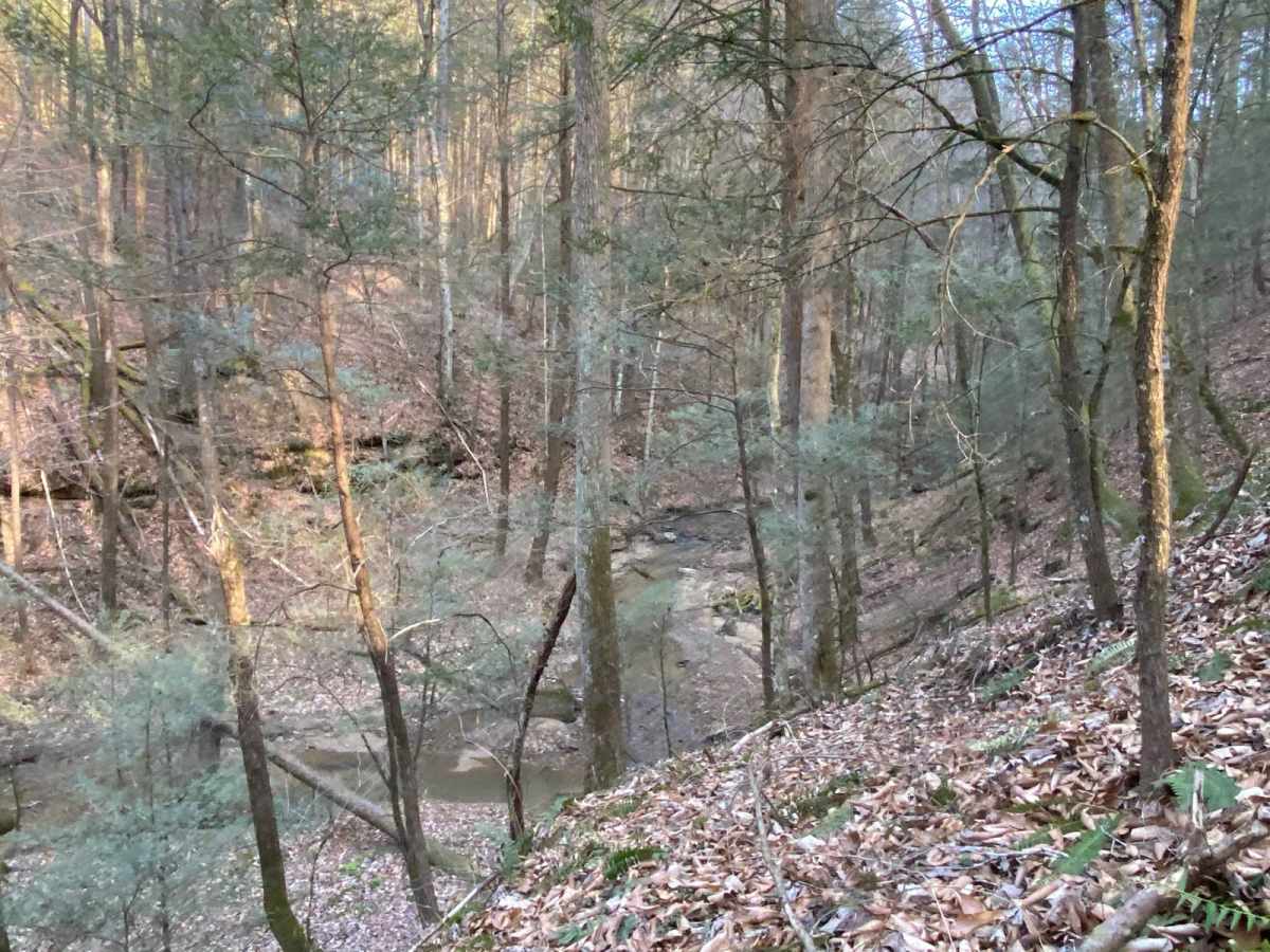 Cedgap Trail photo 4
