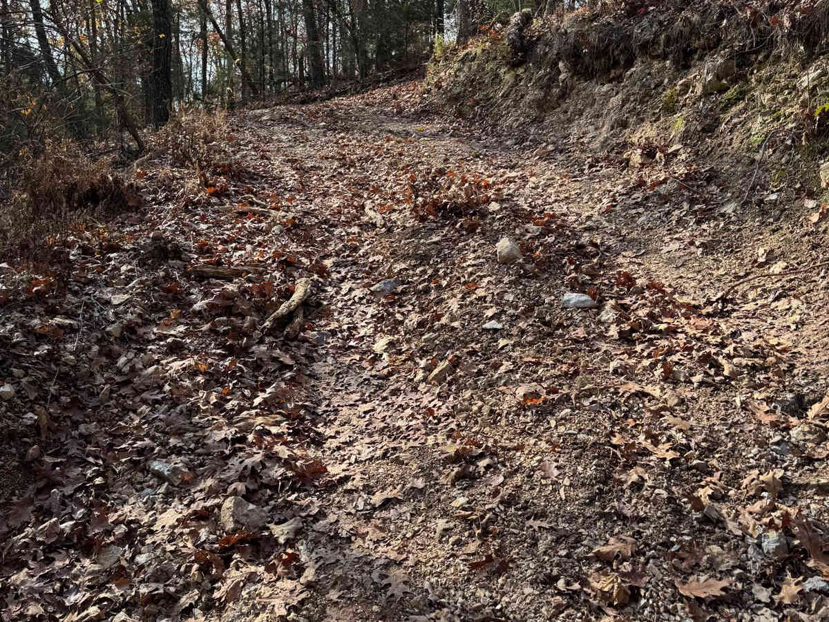 Yellow 198 trail photo
