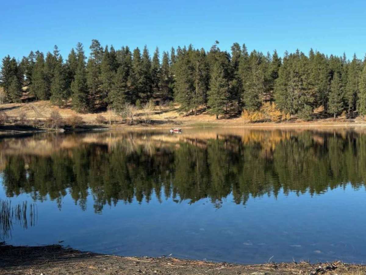 Burnell Lake Road trail photo