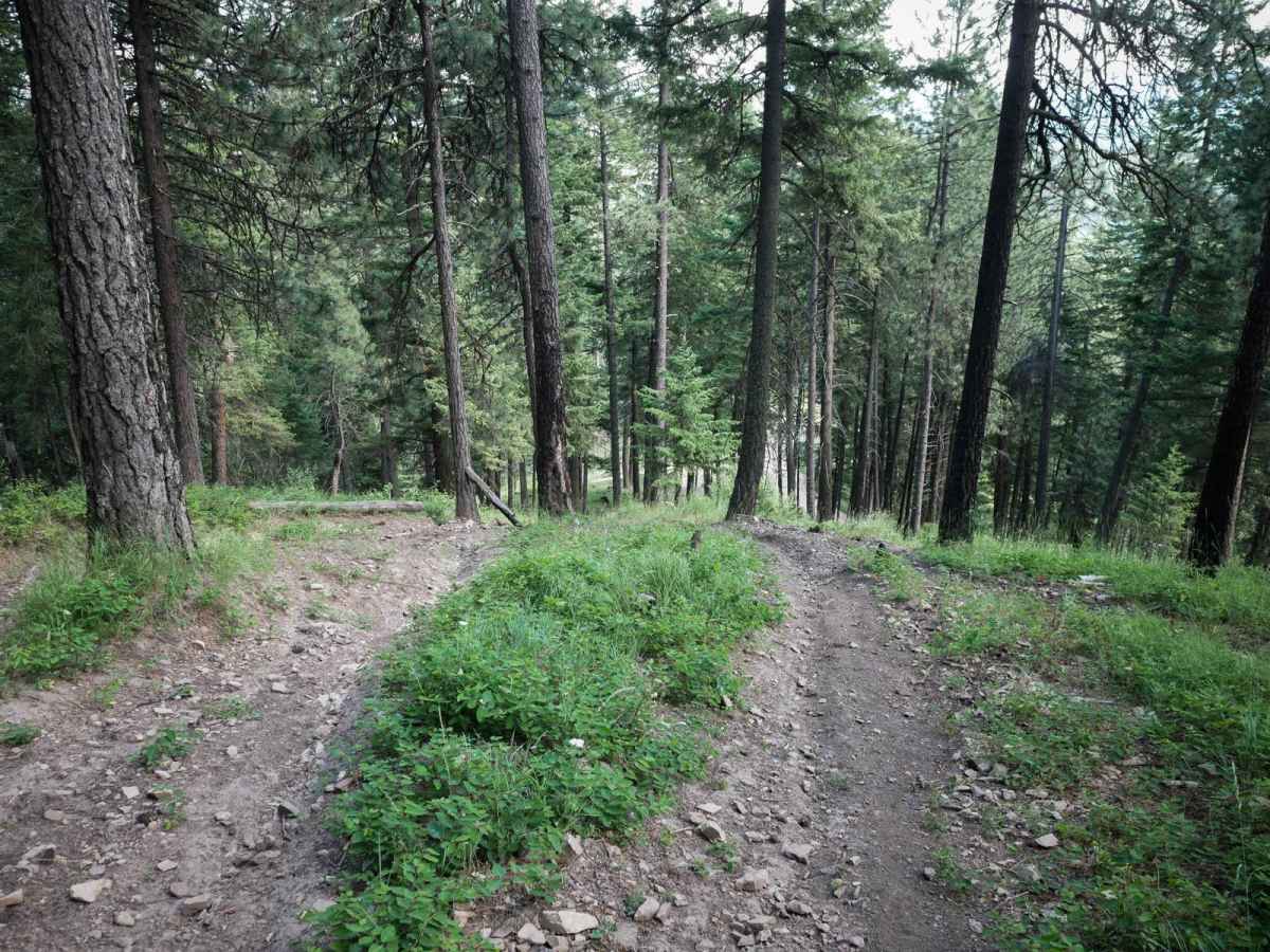 Canfield Mountain- Trail 3 photo 3