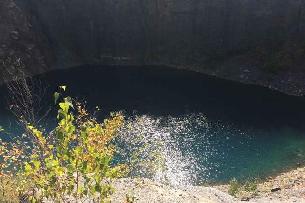 Locust Gap 56