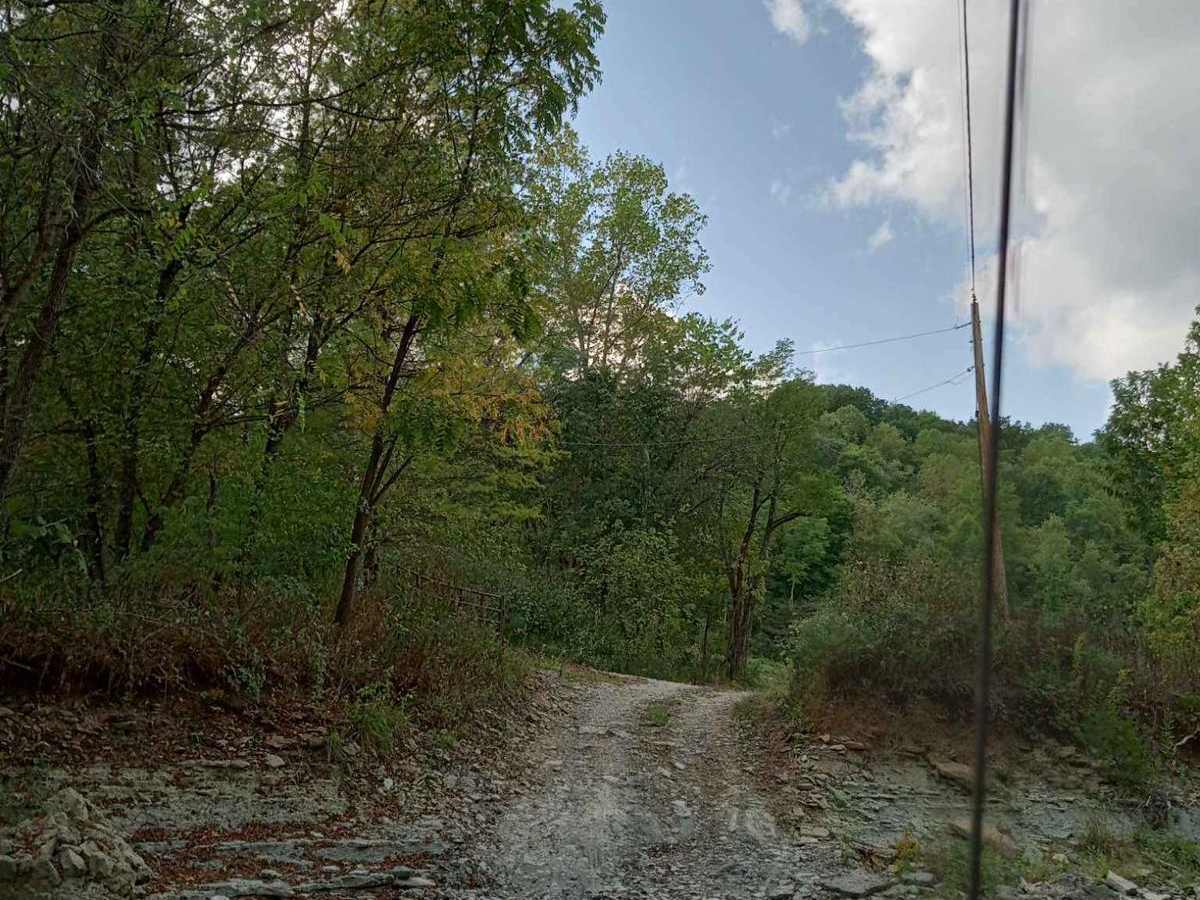 Bloody Run Road trail photo