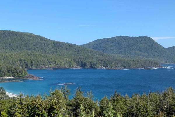 Grant Bay