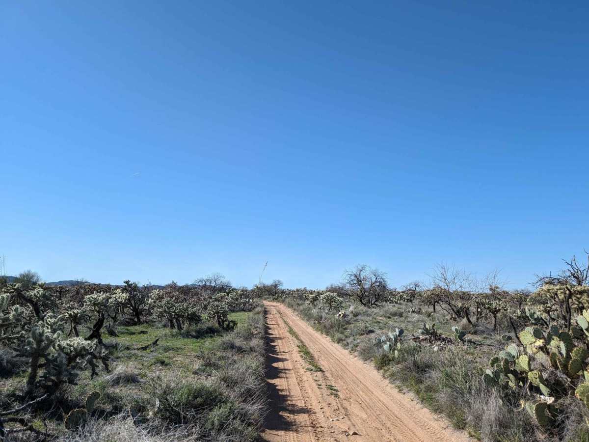 East Cochie Spring Trail photo 4