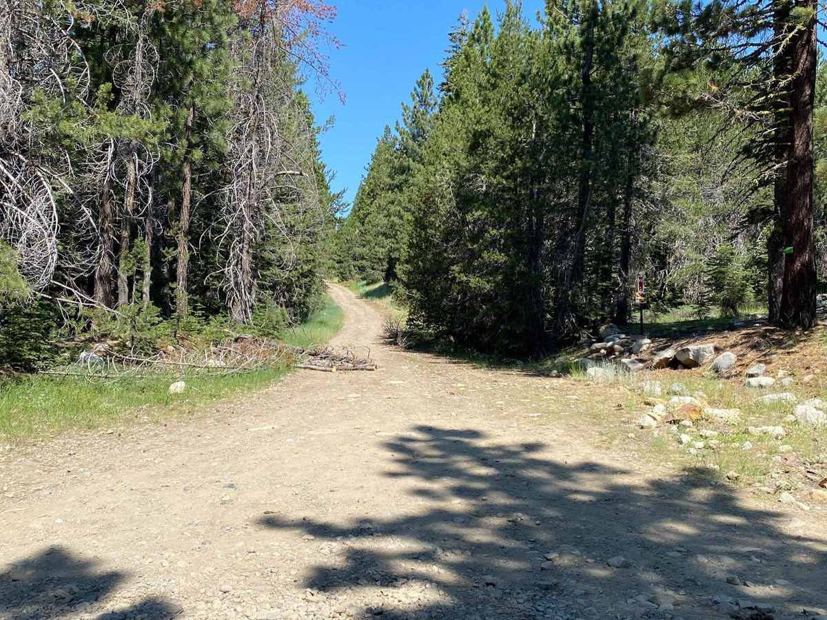 Austin Meadows trail photo