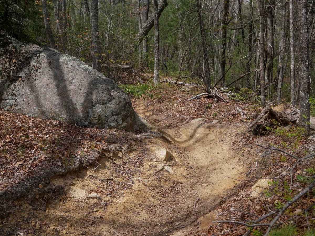 Trail 7 Richard's Bypass photo 5