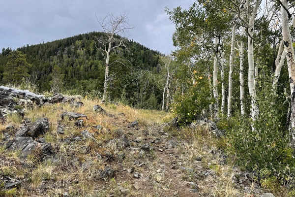 Willow Mine Trail