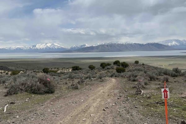 Lakeview East