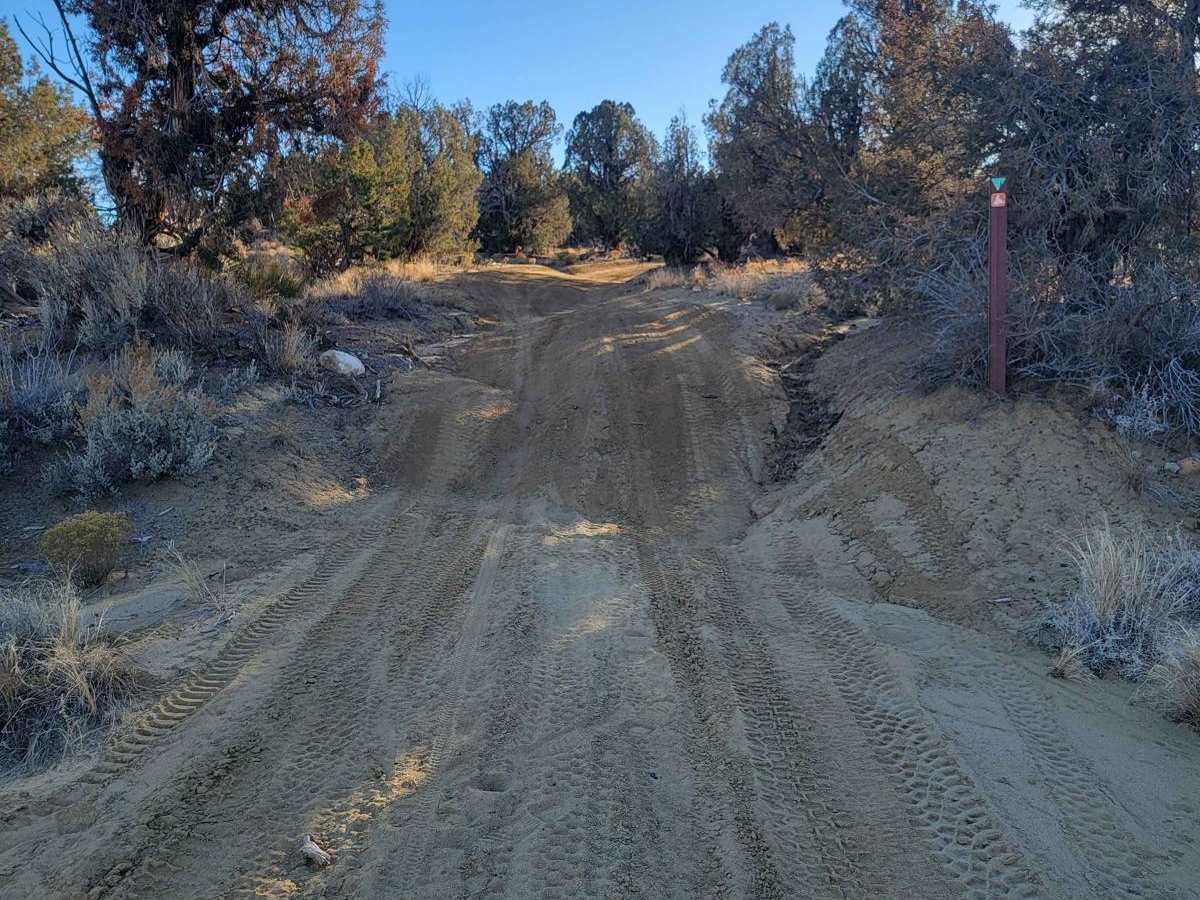 SXS/ATV Test Your Skills Trail photo 3