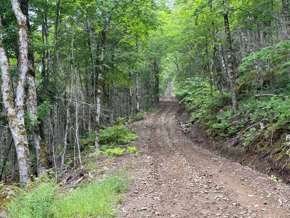Stubbard Road trail photo