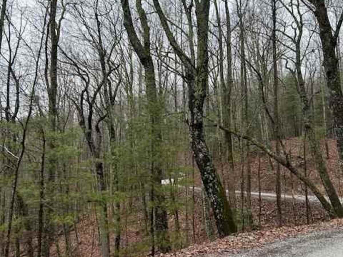 Powell's Gap photo 3