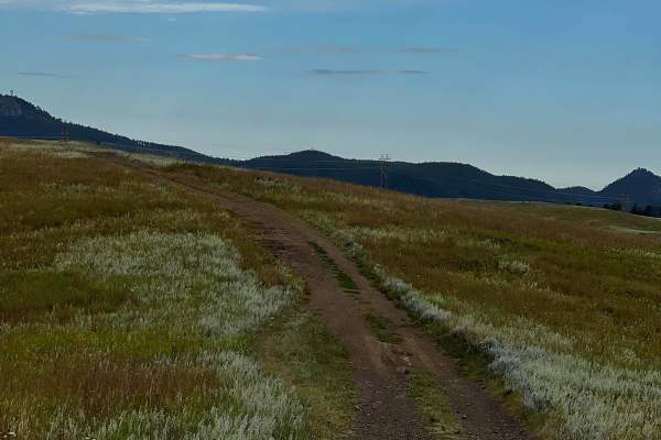 Bald Hills
