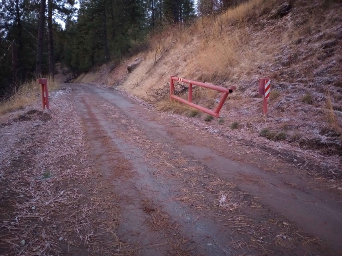 NF-2550 (HooDoo) photo 6