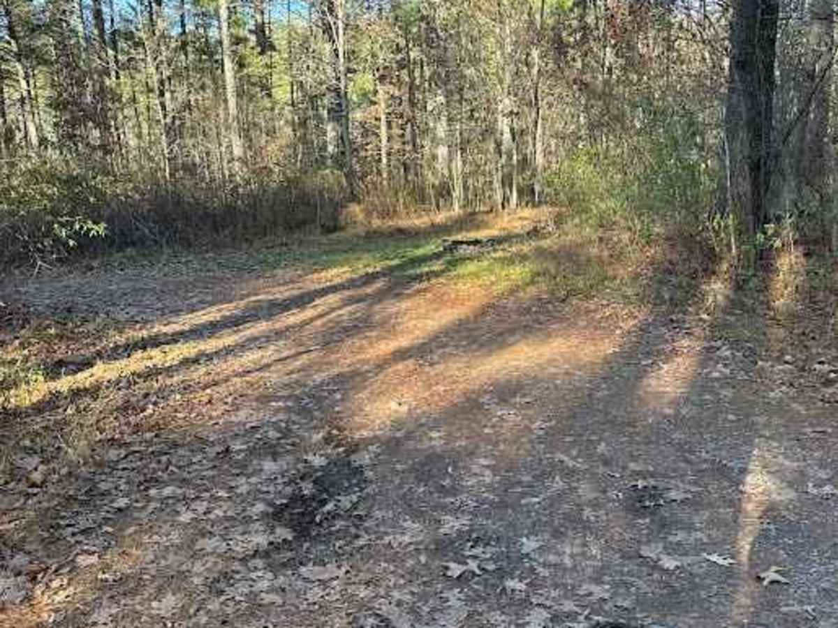 Cold Springs - FR 77 photo 6