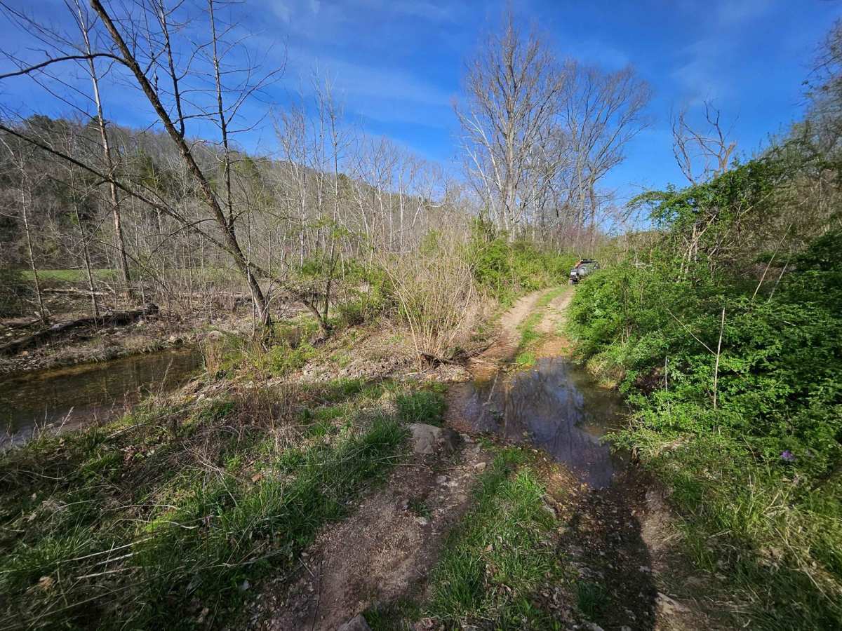 Hay Hollow photo 5