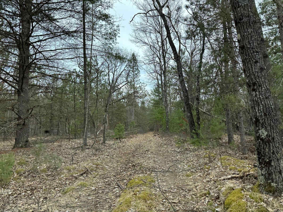 FS 2120 trail photo