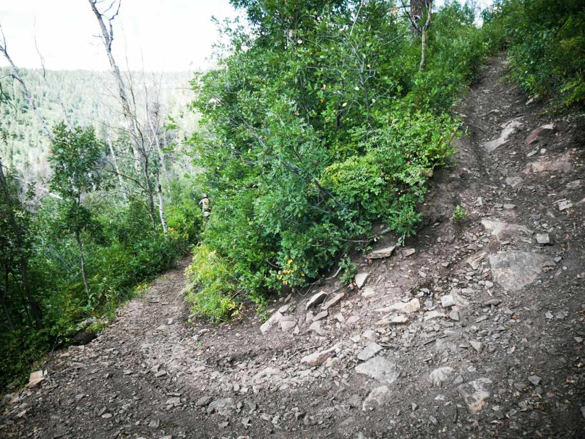 Coyote Park North trail photo