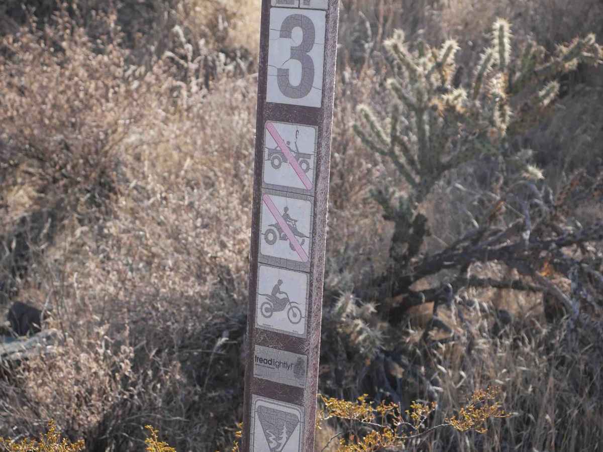 LP3 photo 5