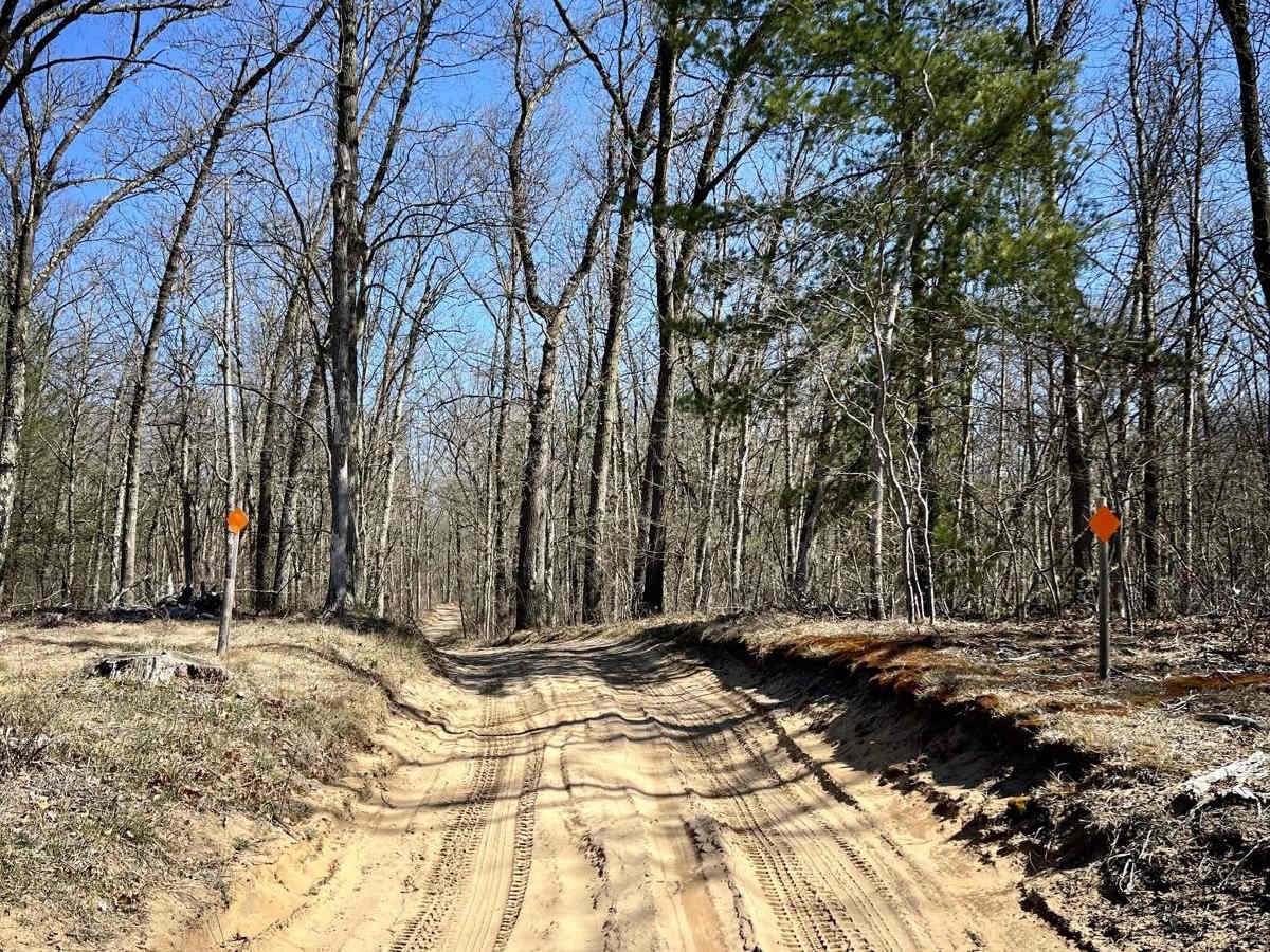 MSG Trail photo 5