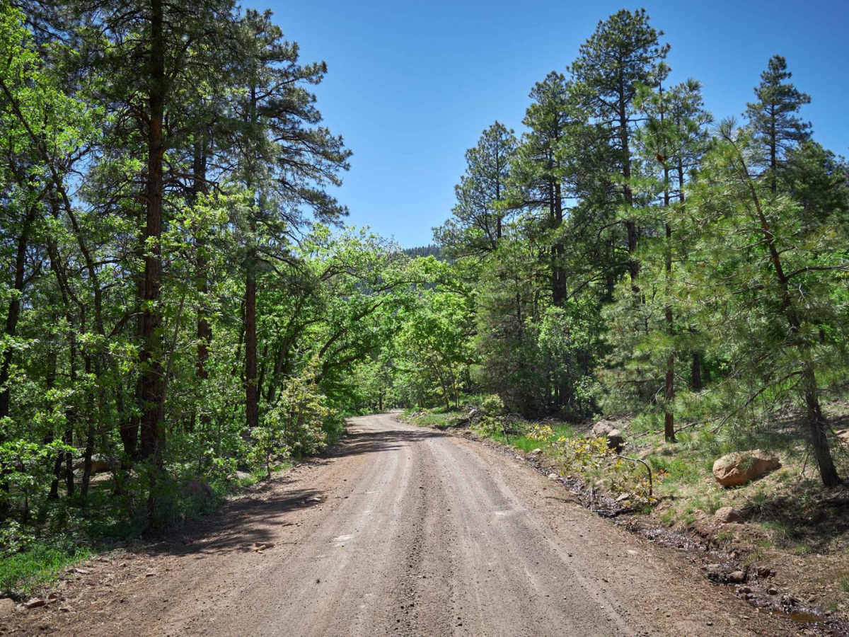 Bill Williams Mountain photo 5