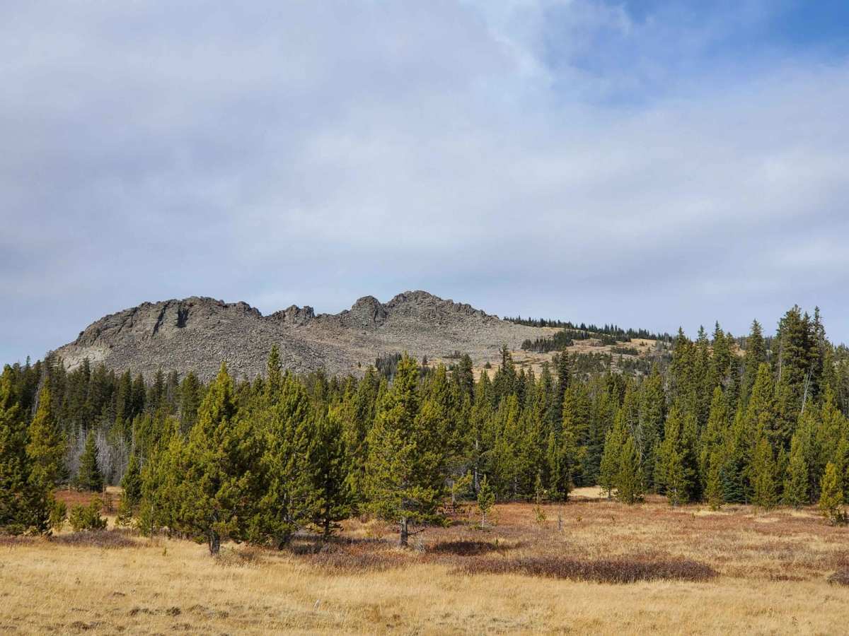 Web Creek Loop photo 2
