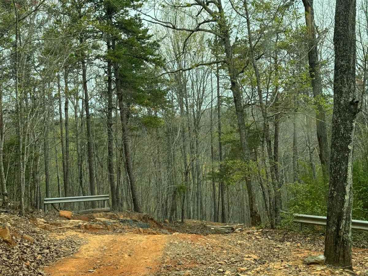 Falls Dam Trail 96 photo 4