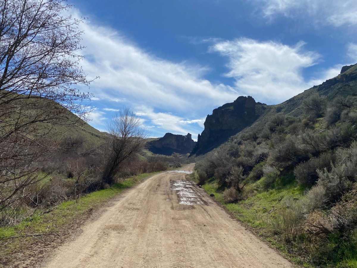 Succor Creek Road photo 3