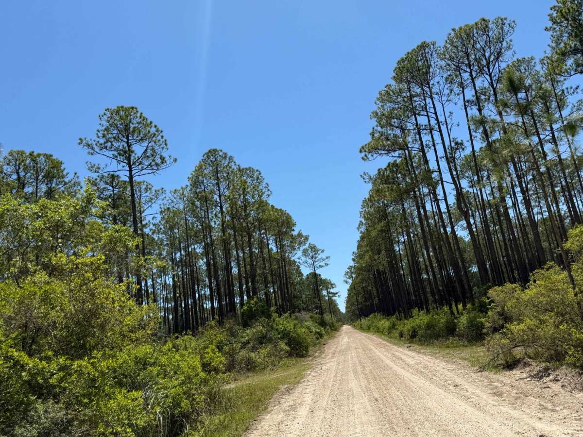 John Allen Road photo 6