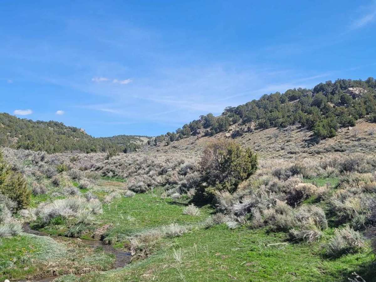 Cherry Creek Road photo 2