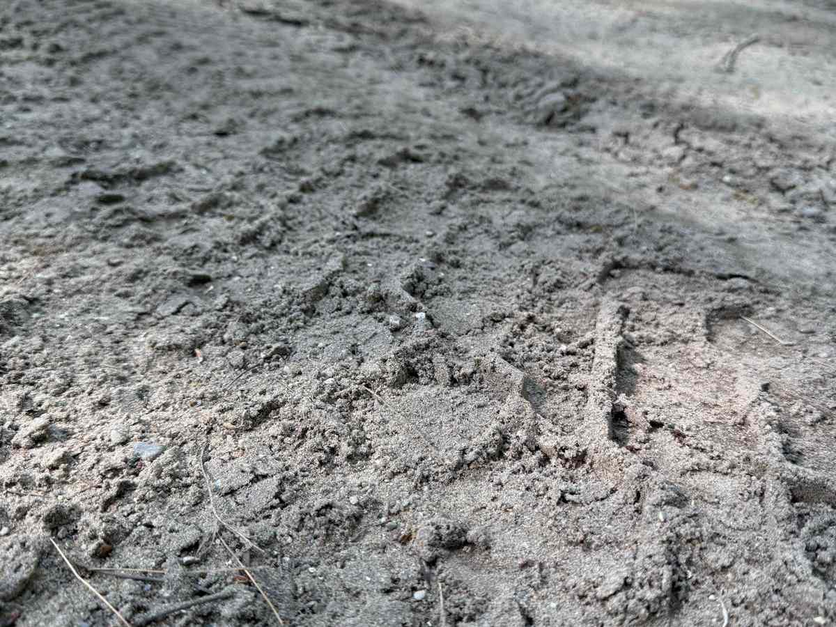 Riverbend Trail photo 3