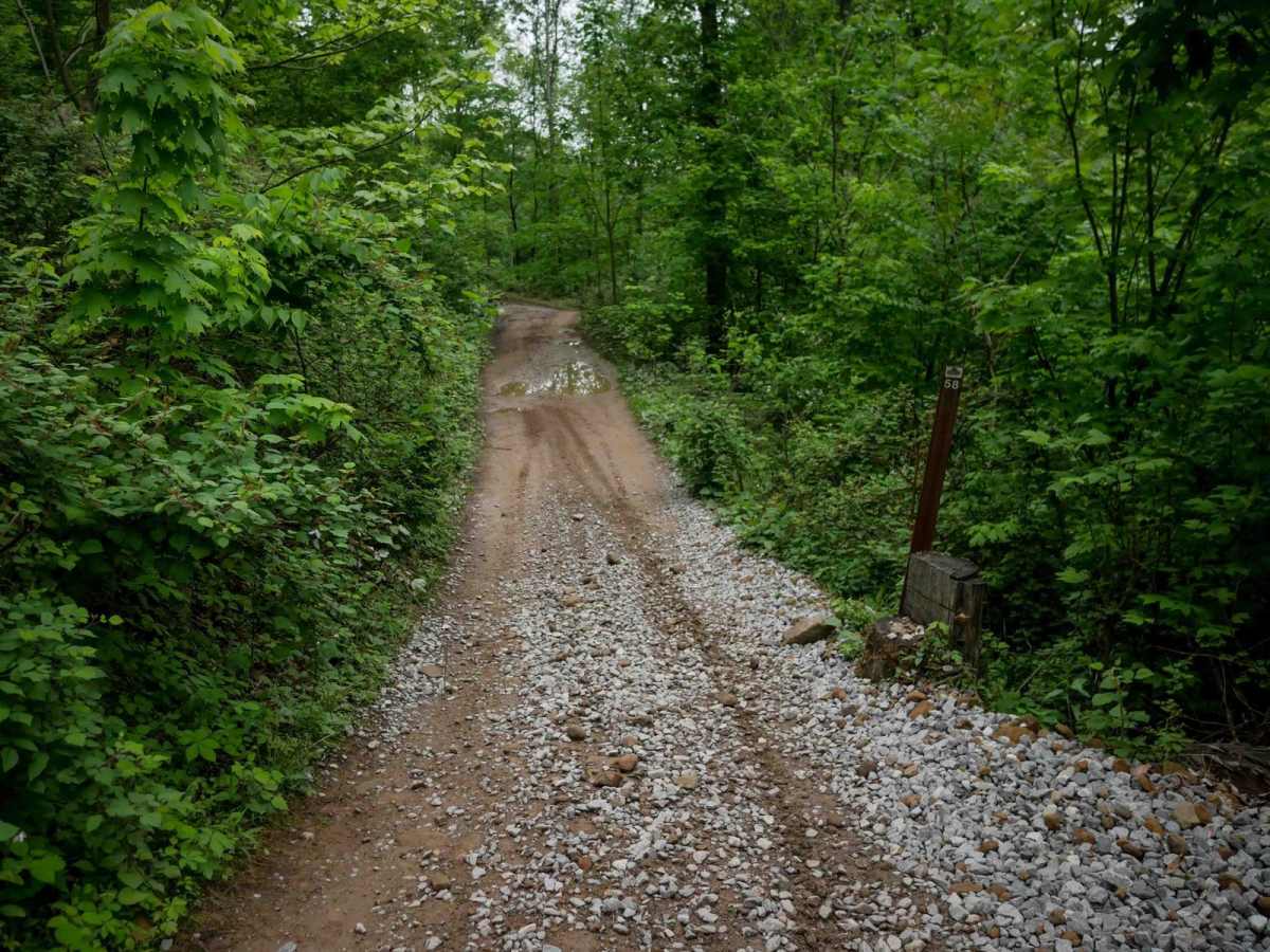BM 58 trail photo