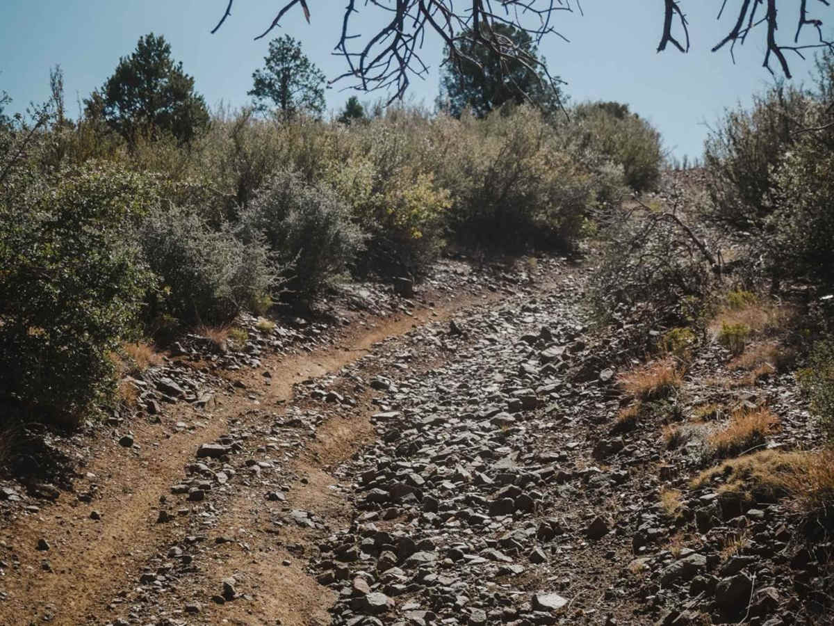 White Horse Tank trail photo